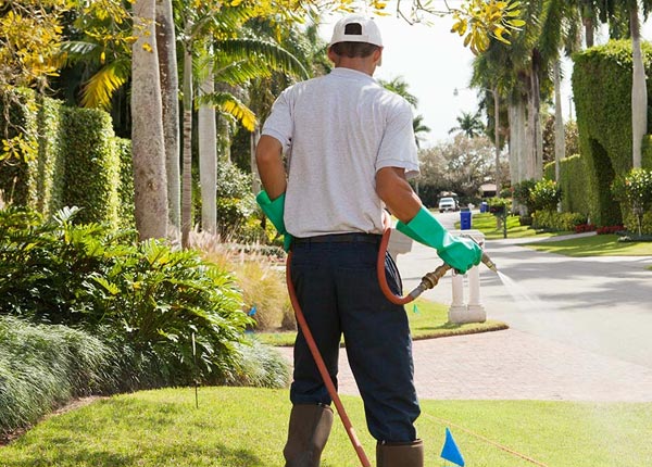 About New Cambria KS Pest Control Pros